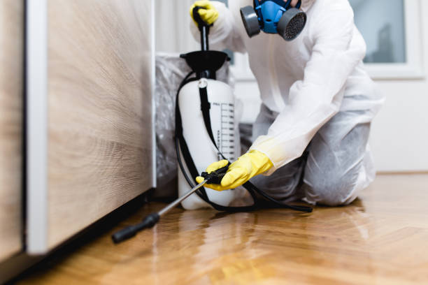 Best Wildlife Control Services  in Kinsey, AL