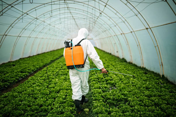 Best Pest Control Near Me  in Kinsey, AL