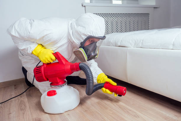 Best Insect Control  in Kinsey, AL