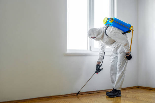 Best Cockroach Control Services  in Kinsey, AL