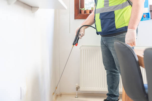 Wasp Removal Services in Kinsey, AL