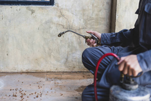 Best Flea Control Services  in Kinsey, AL